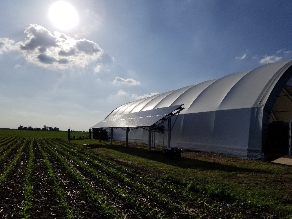 Agricultural Solar in Tuscola, IL