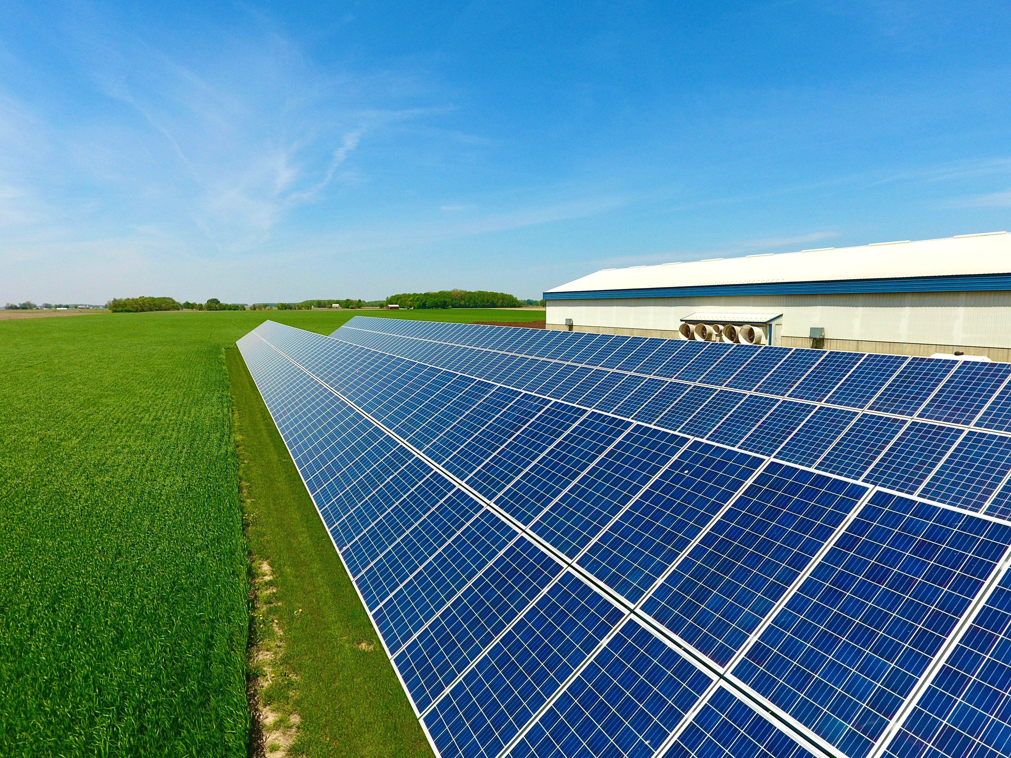 Two rows of solar panels in Indiana.