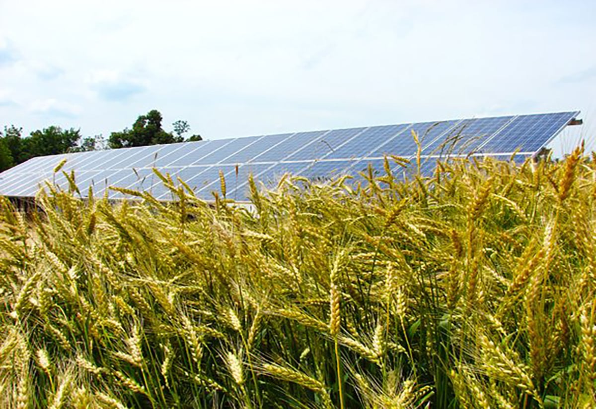 Agriculture solar in Ownsboro, KY.